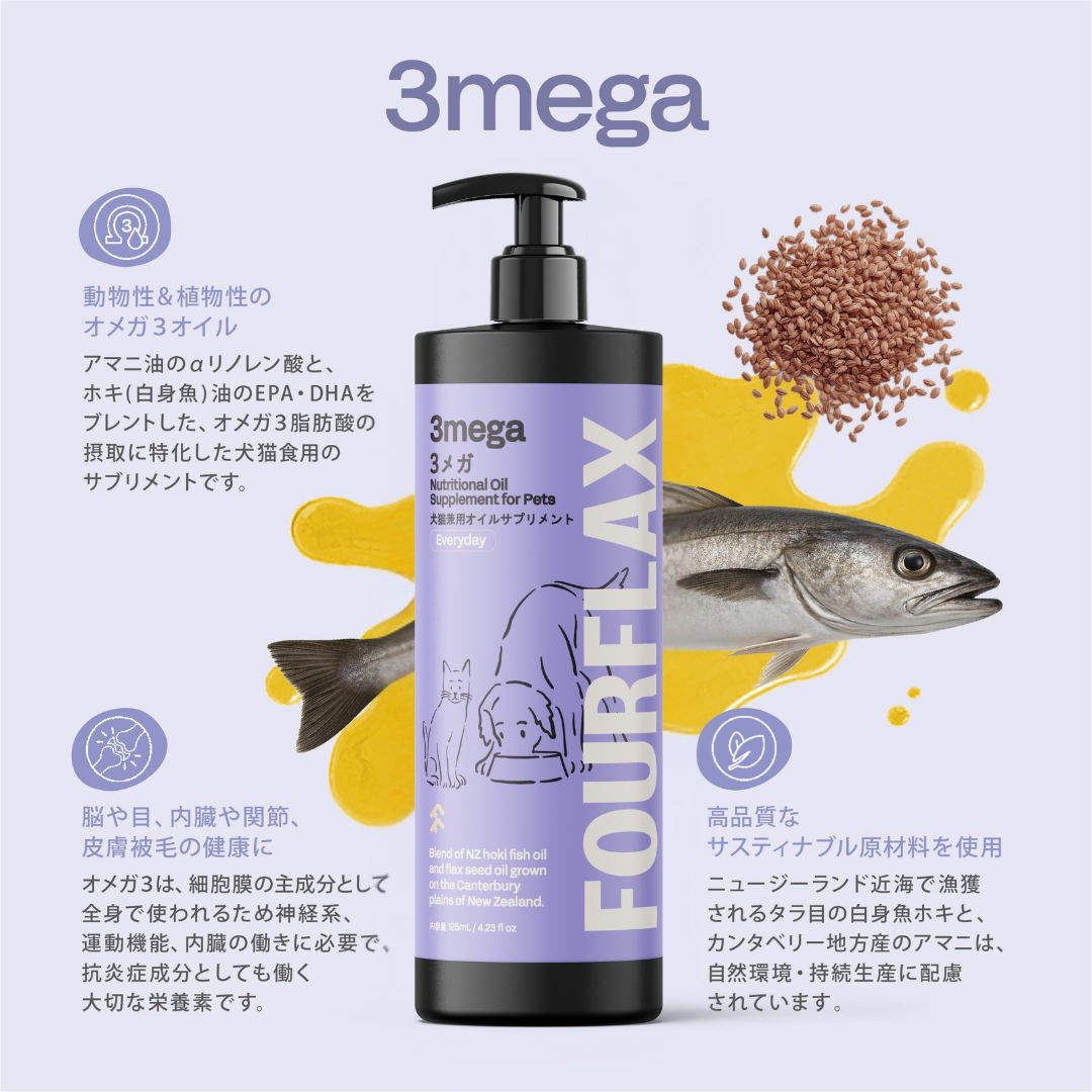 FOURFLAX 3メガ