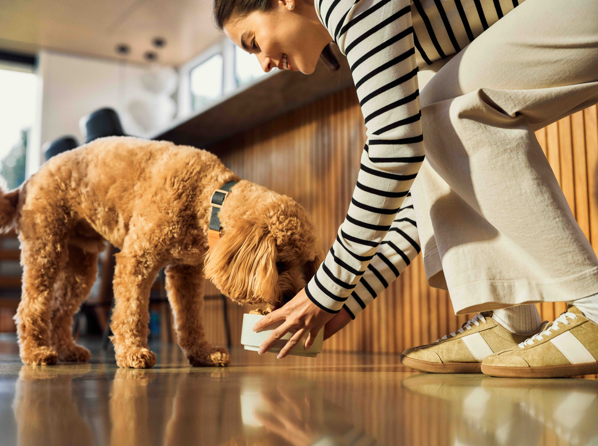 K9 Natural フリーズドライビーフ＆ホキ・フィースト 商品特長