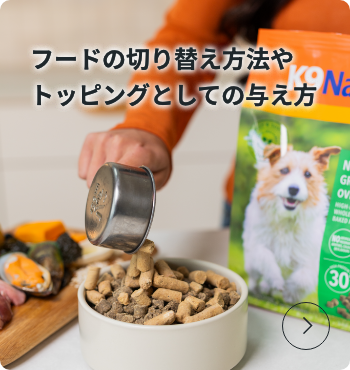 フードの切り替え方法やトッピングとしての与え方