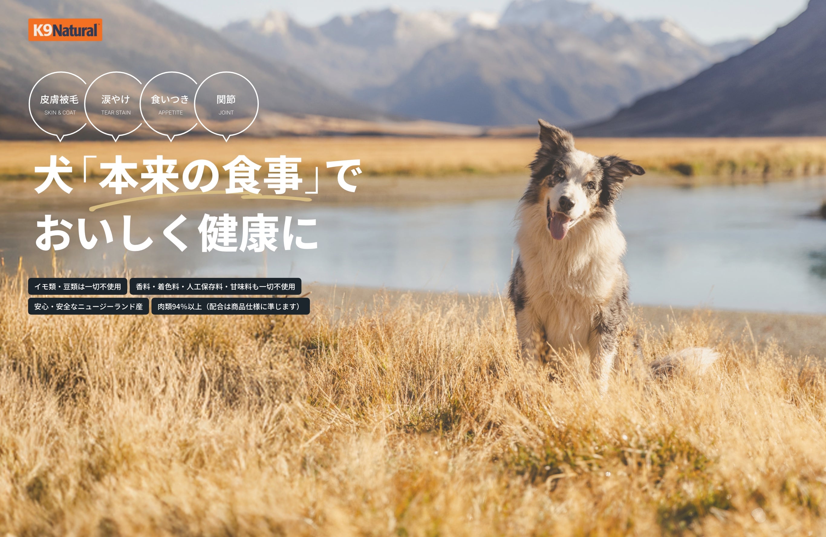 犬の「本来の食事」でおいしく健康に!