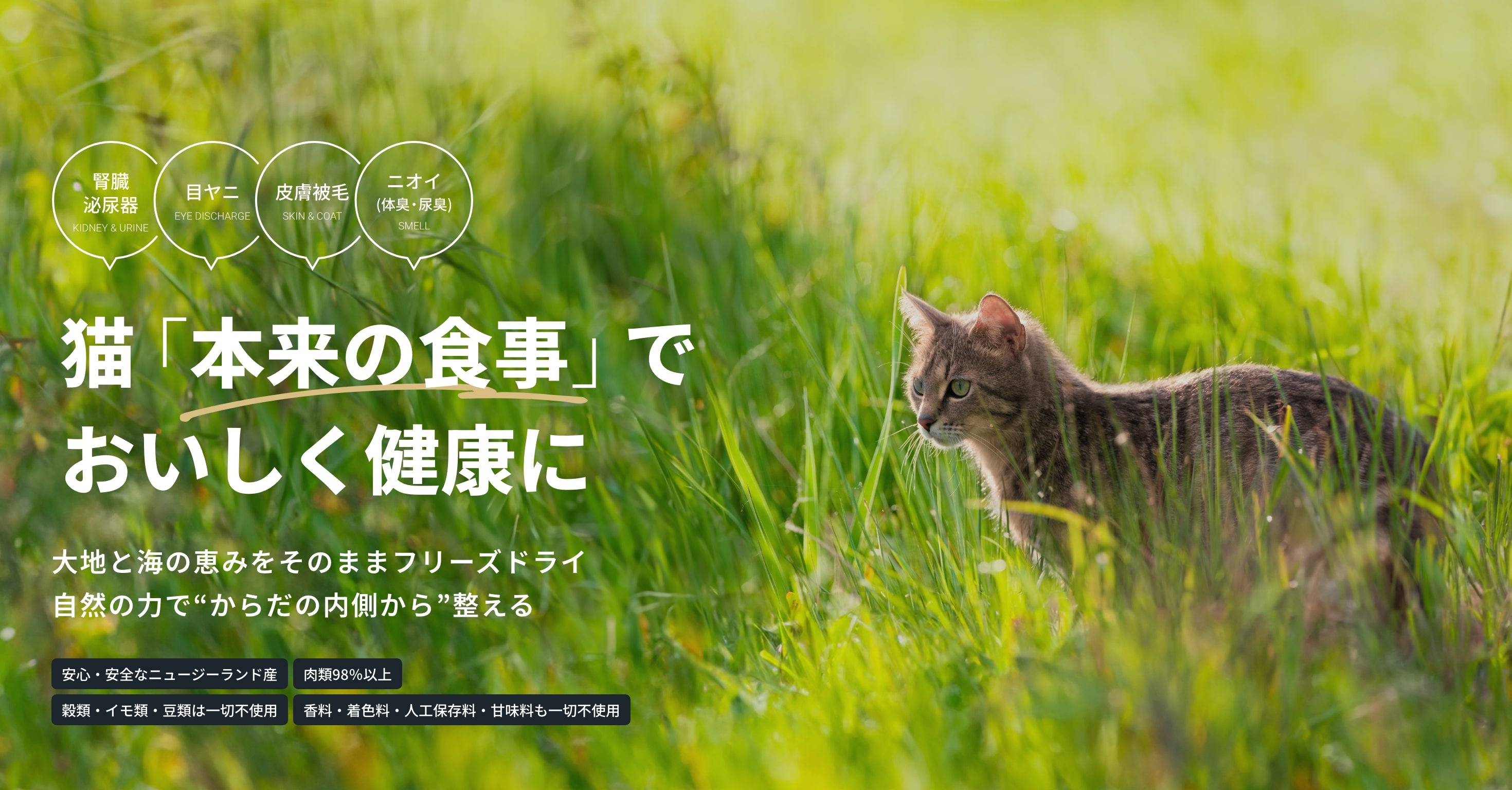 猫の本来の食事で、おいしく健康に