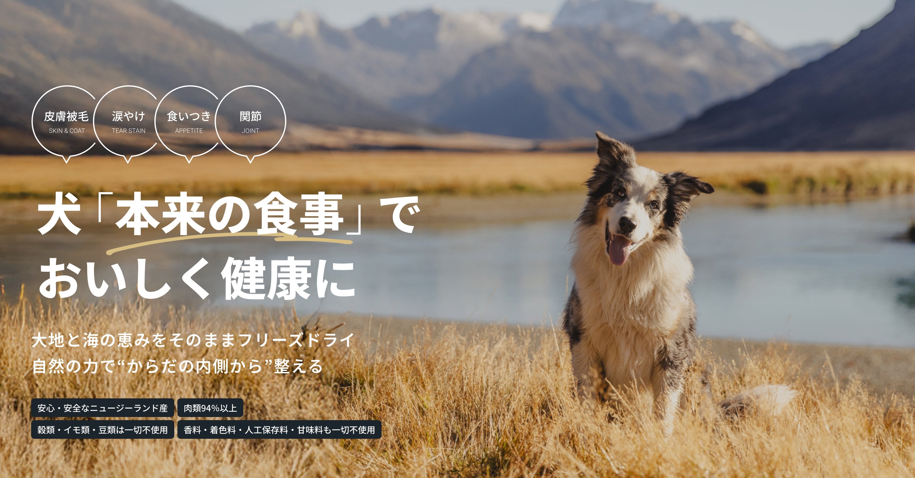 犬の本来の食事で、おいしく健康に